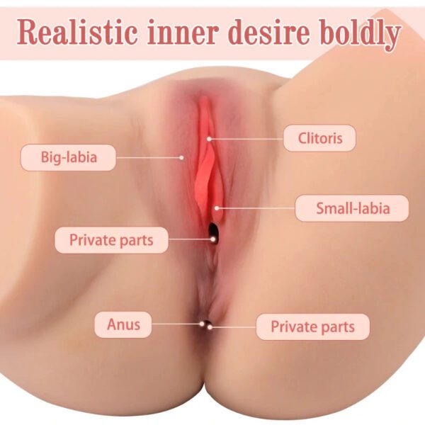 P570 (5.9lb) Fake pussy and Butt Cheap Mini Sex Doll Torso Adult Toy Male Masturbator - Image 5