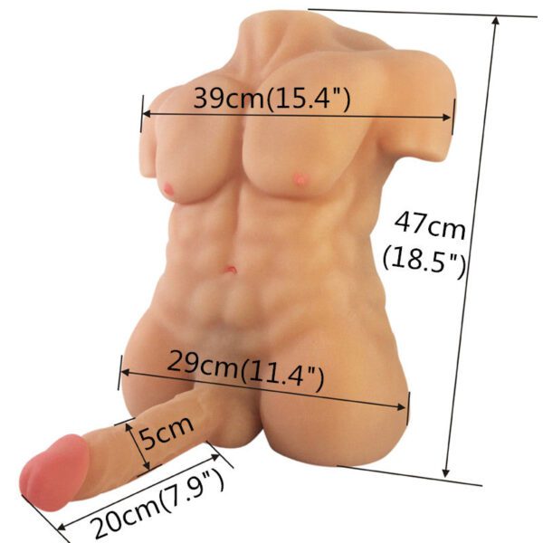 T556 (15.4lb) Gay Male Sex Dolls &Torso Dildo For Women | JLY - Image 5