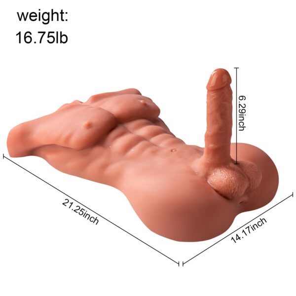 Oscar(For EU Customers): 16.75lb Sexy Male Torso Sex Doll with Dildo - Image 14