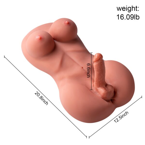 Bobbie(For EU Customers): 16.09lb Lifelike Trans Man Woman Torso Doll - Image 12
