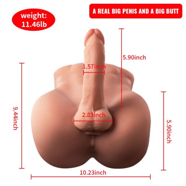 T704(11.46lb)  Lifelike Big Penis Male Sex Doll Torso Dildo Adult Toys With 5.9″ Dildo for Female Masturbation | xingse - Image 7